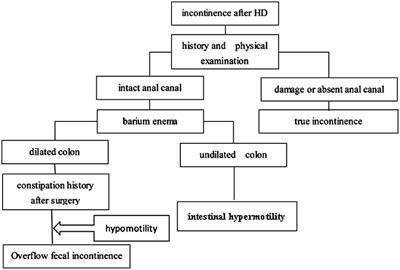 Laparoscopic vs. Transabdominal Treatment for Overflow Fecal Incontinence Due to Residual Aganglionosis or Transition Zone Pathology in Hirschsprung's Disease Reoperation